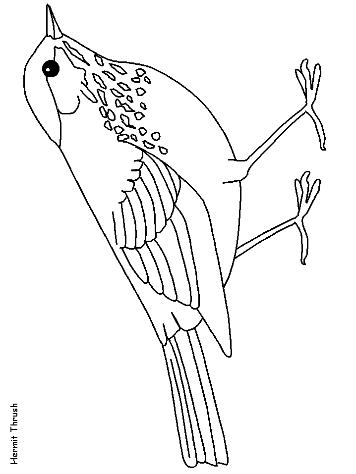ga state bird coloring pages - photo #41